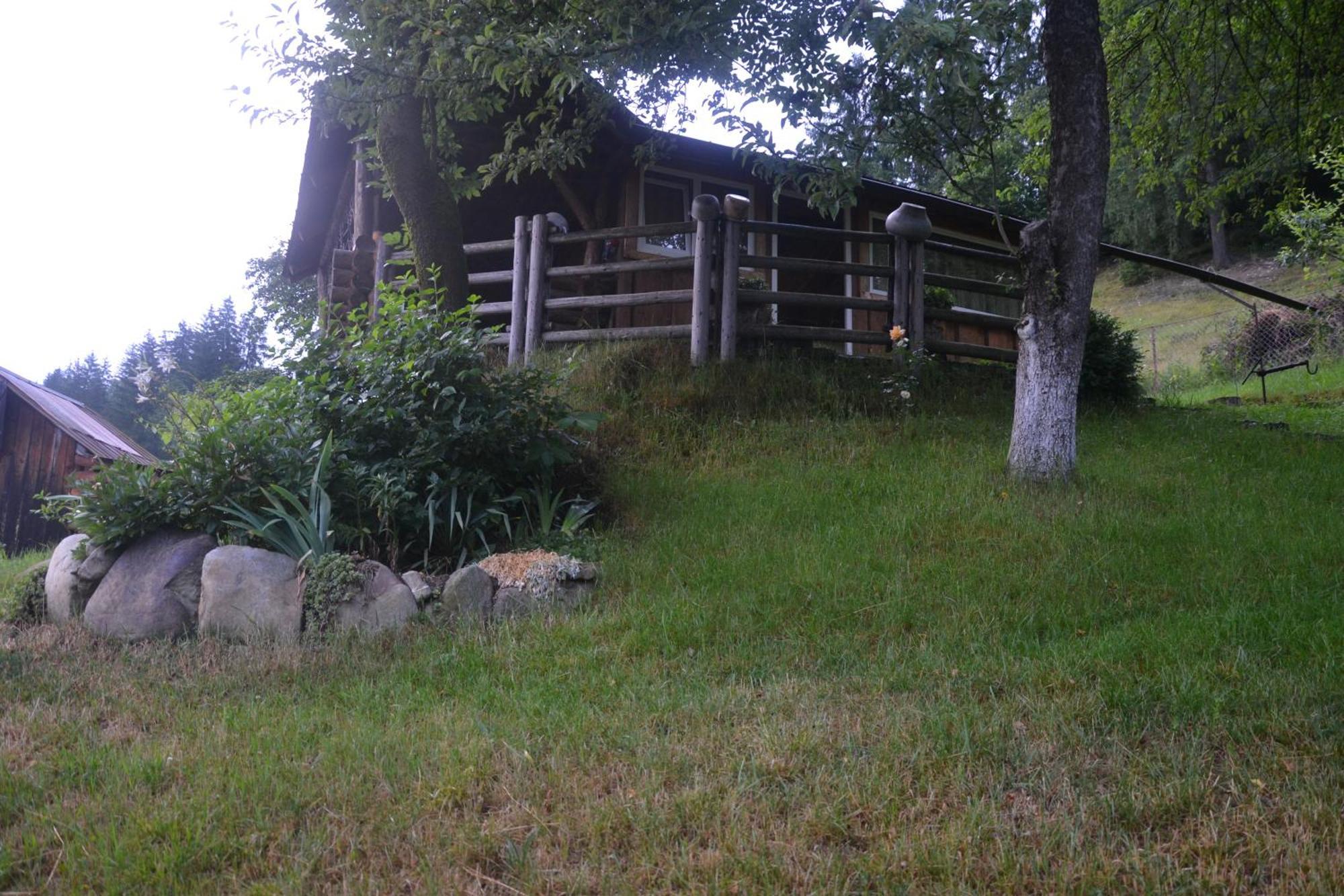 Pid Lisochkom Verkhovyna Exterior photo